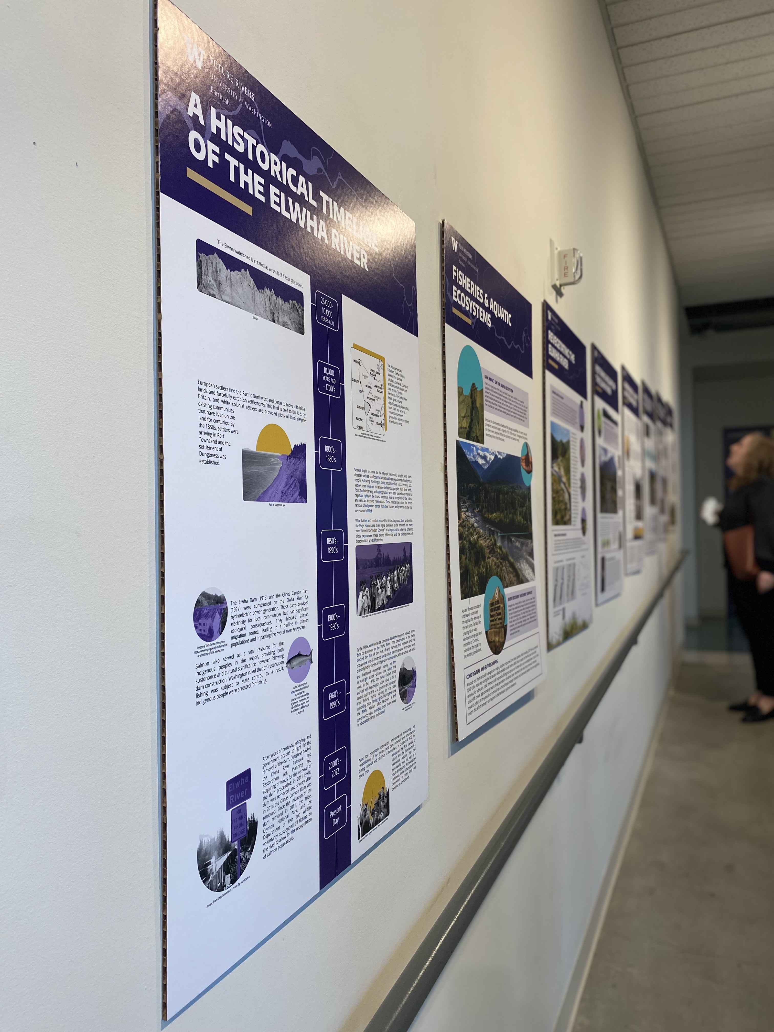 Angled corridor view of the Future Rivers installation — Historical Timeline of the Elwha River poster