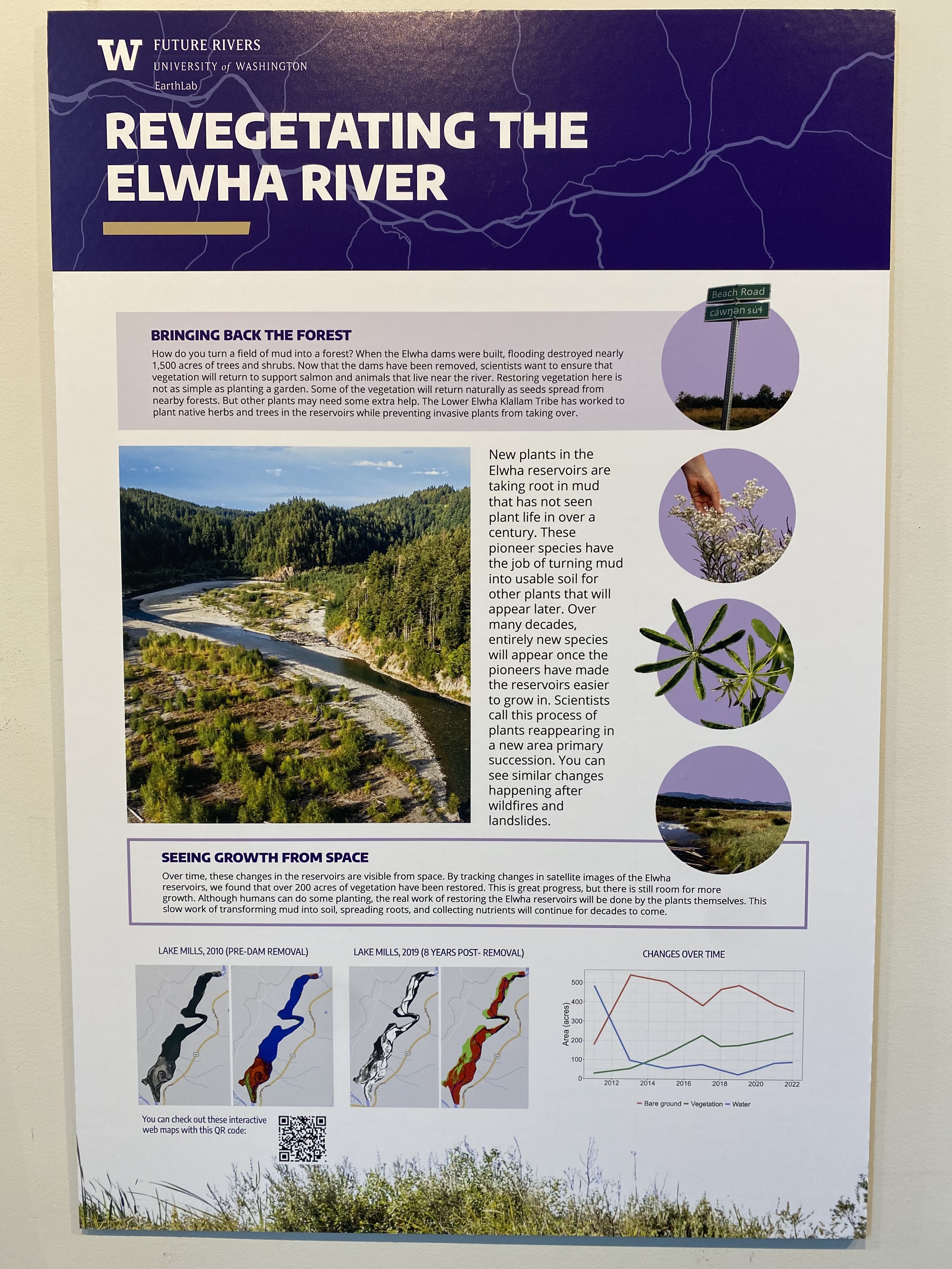 Revegetating the Elwha River — individual research poster detail